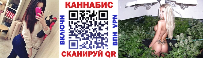 Шишки марихуана OG Kush  купить наркотик  Евпатория 